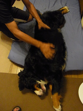 010_20121028143855.jpg