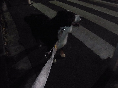 010_20121110174910.jpg