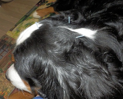010_20121128144655.jpg