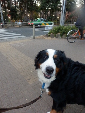 010_20121213195725.jpg