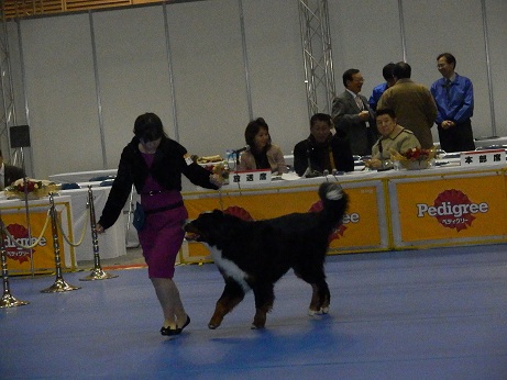 010_20121223140225.jpg