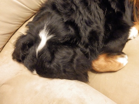 010_20121230163926.jpg