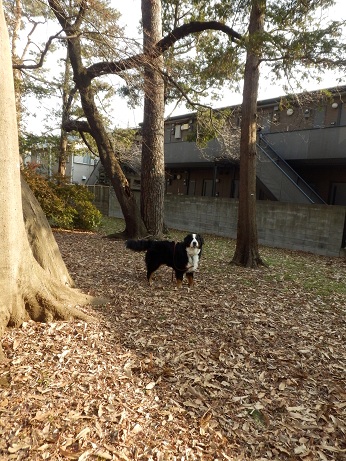 010_20130109143654.jpg
