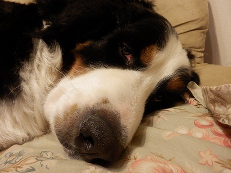 011_20121126162911.jpg