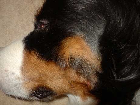 011_20121203132835.jpg