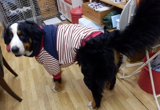 011_20121206200814.jpg
