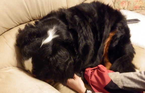011_20121230163935.jpg