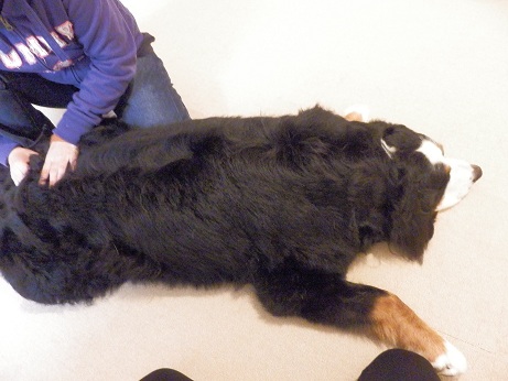 011_20130107204751.jpg