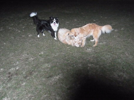 012_20121026230431.jpg