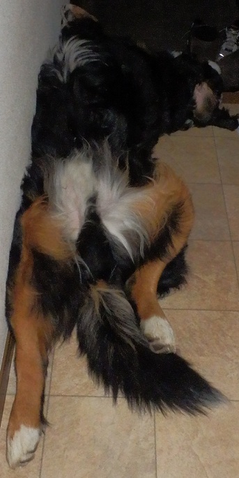 012_20121230070851.jpg