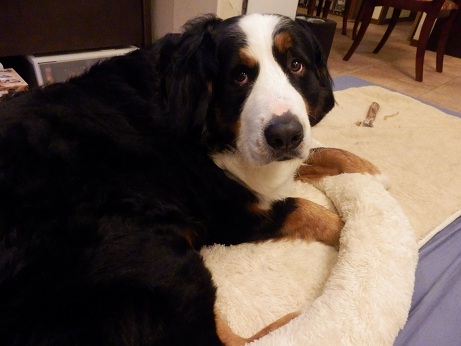 012_20130107204800.jpg