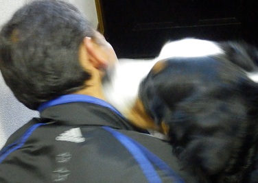 012_20130113103520.jpg