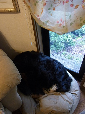 013_20121025092400.jpg