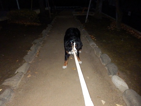 013_20121217221849.jpg