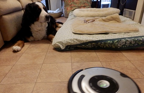 013_20121231202222.jpg
