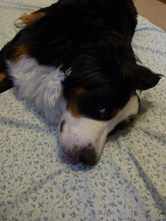 014_20121030150219.jpg