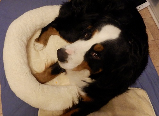 014_20121202225203.jpg
