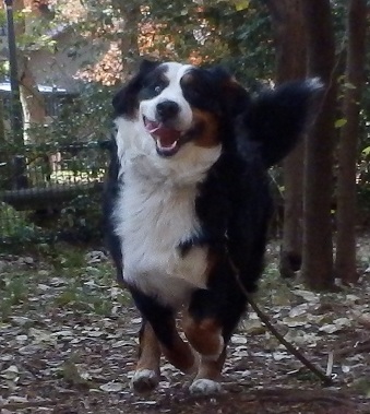 014_20121214112614.jpg