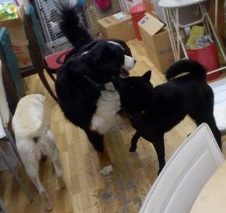 014_20121222194433.jpg