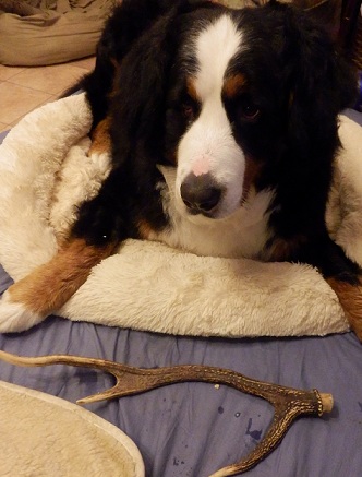 014_20130112203637.jpg