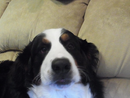 015_20121115081702.jpg