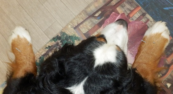015_20121128144714.jpg