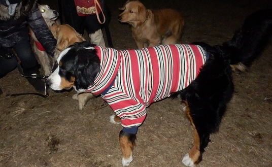 015_20121218204036.jpg