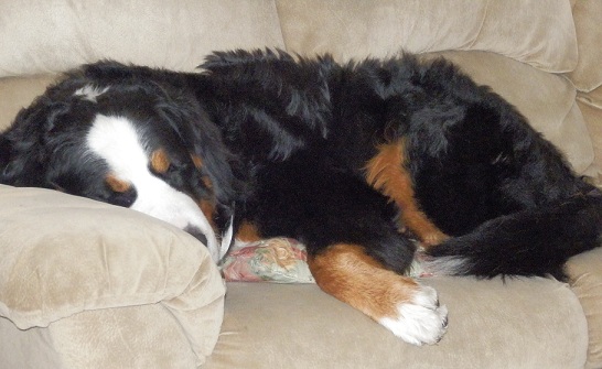 015_20121225194449.jpg