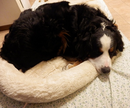 015_20121226172606.jpg