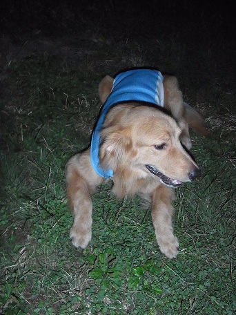 016_20121016212857.jpg