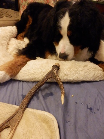 016_20130112203651.jpg