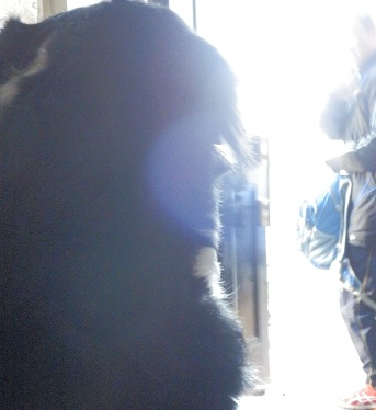 016_20130113103530.jpg