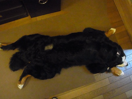 017_20121022190750.jpg