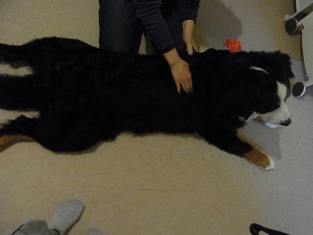 017_20121105213156.jpg