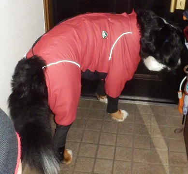 017_20121230164005.jpg