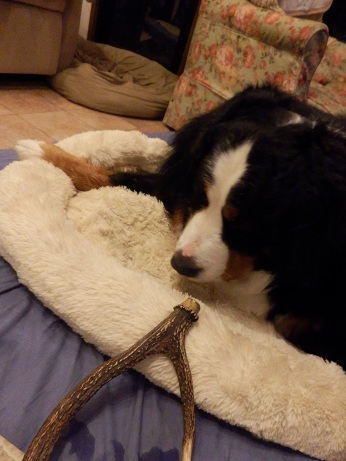 017_20130112203701.jpg