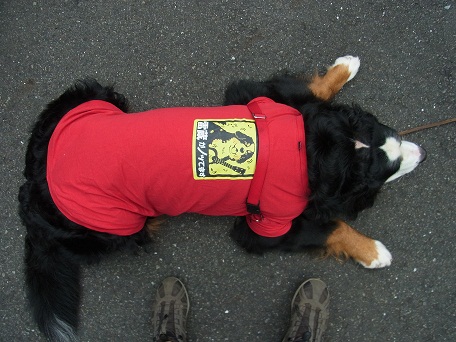 018_20121025174146.jpg