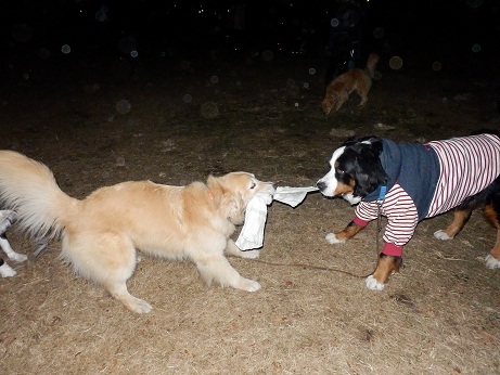 019_20121211191136.jpg