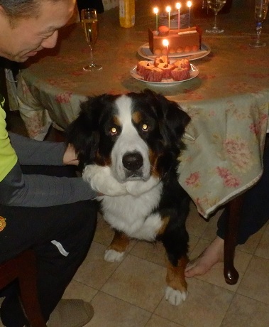 019_20121224221650.jpg