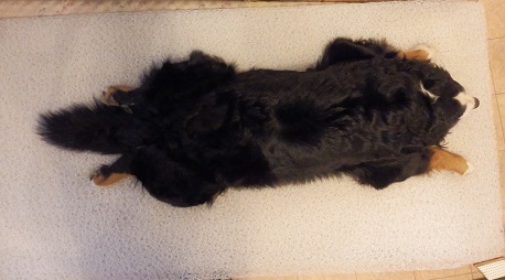 019_20130104104517.jpg