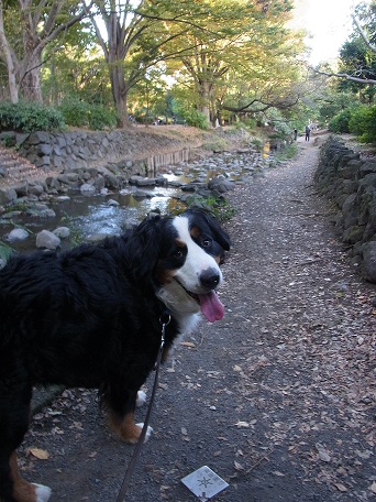 020_20121104191333.jpg
