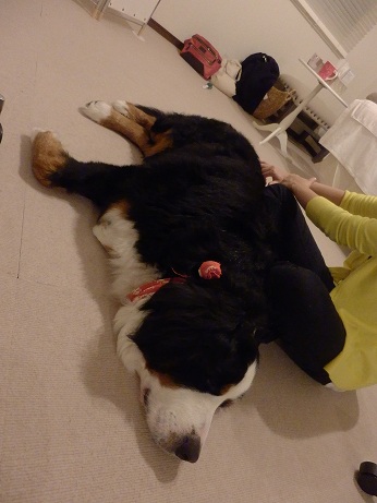 020_20121203220347.jpg