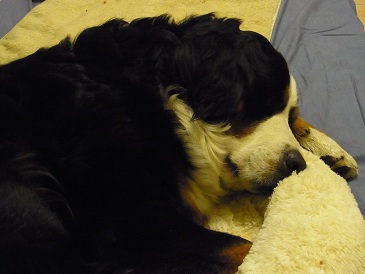 020_20130108222728.jpg