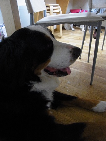 021_20121016143923.jpg