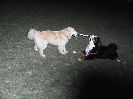 021_20121026230407.jpg