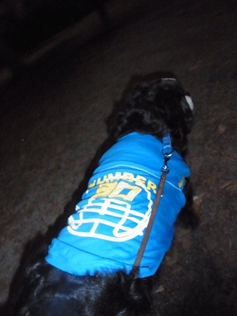021_20121109205149.jpg