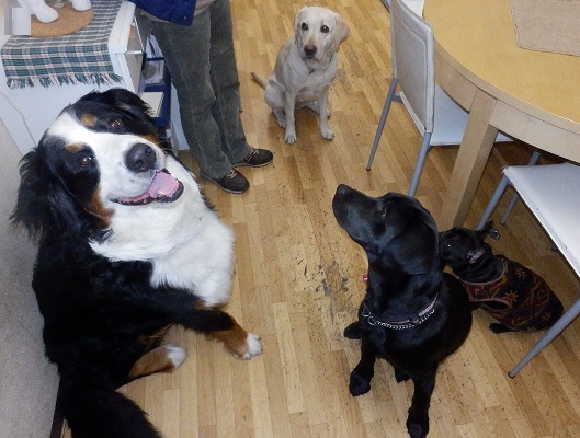 021_20121125213328.jpg
