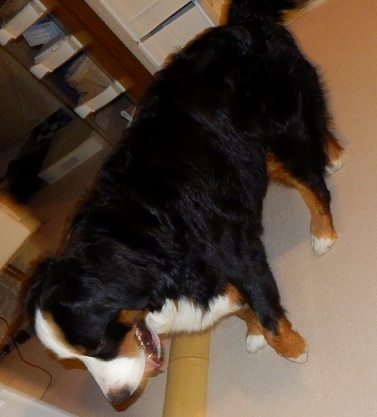 021_20121210200237.jpg
