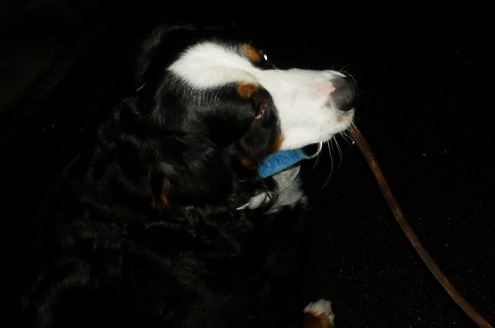 021_20121217221904.jpg