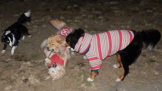 022_20121218204057.jpg